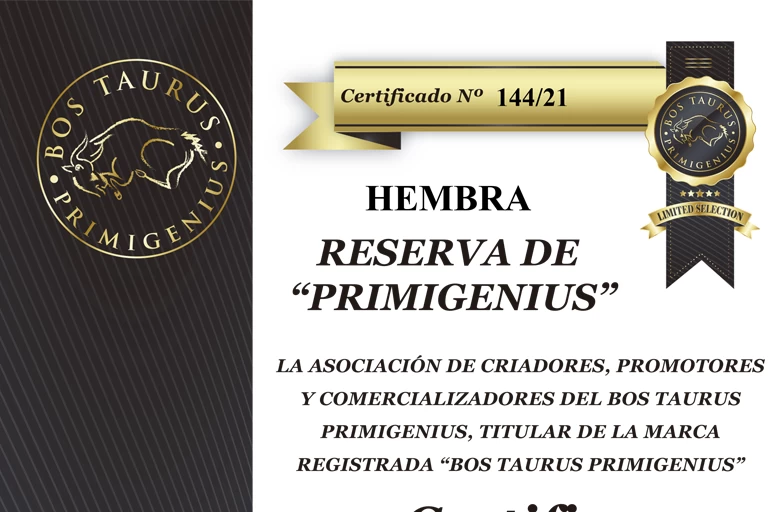 Certificado Hembra Primigenius