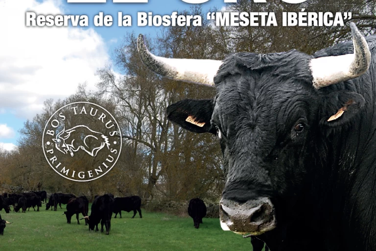 EL URO, Reserva de la Biosfera "MESETA IBÉRICA"