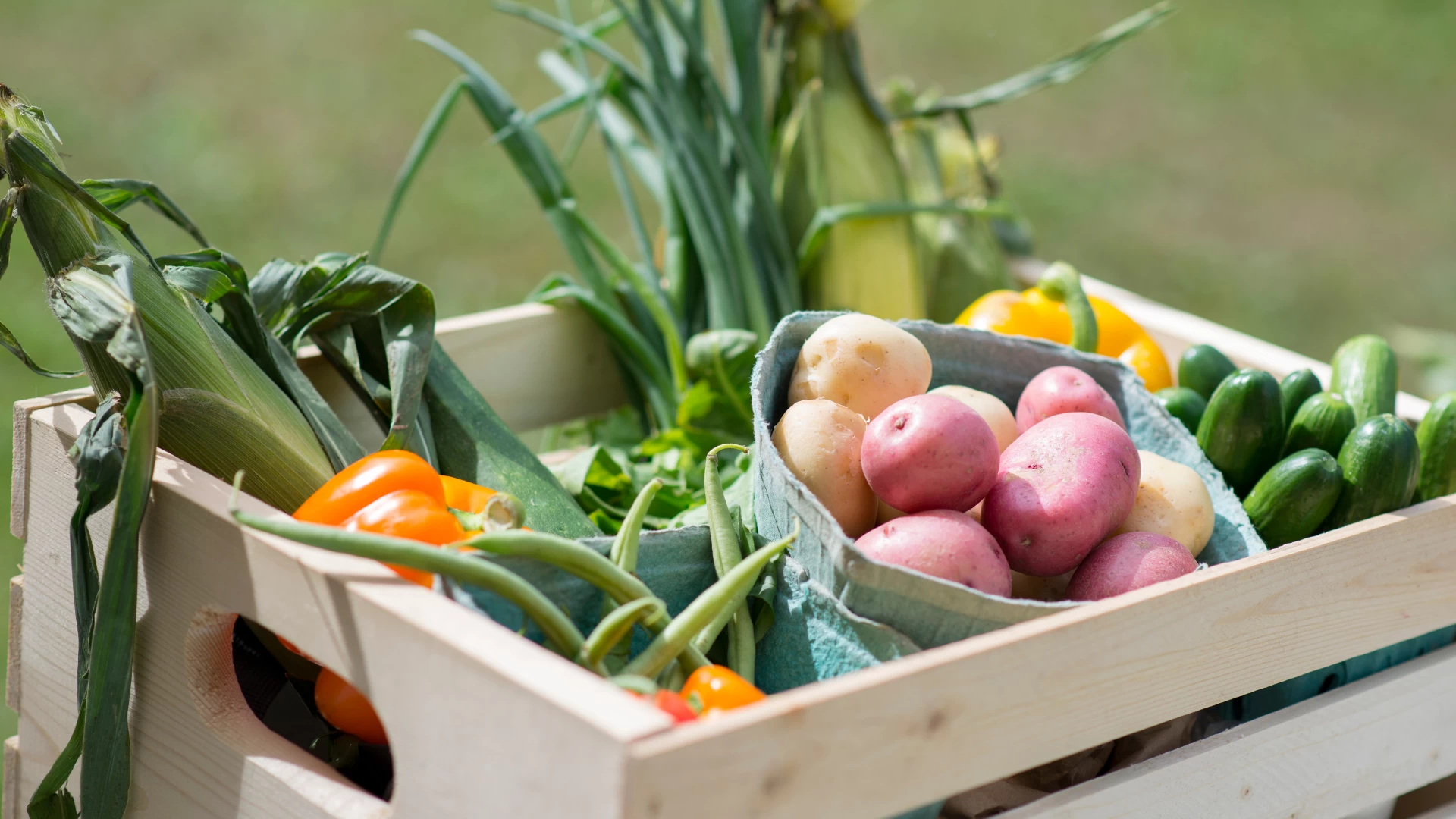 5. El descubrimiento de los productos agroalimentarios de Sayago y el oeste zamorano. Degustación y cesta.